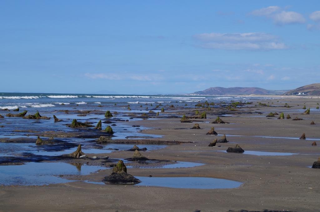 Hostel Yha Borth Exteriér fotografie